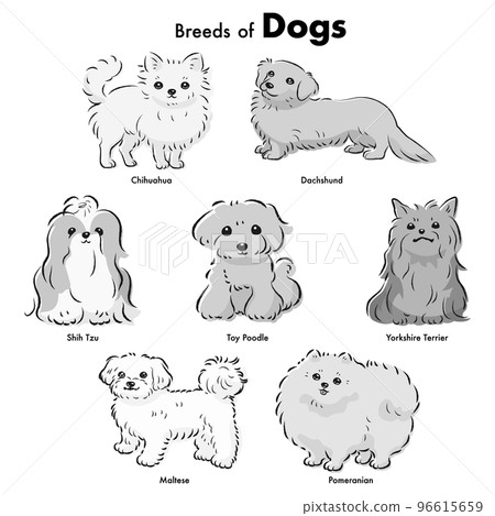 簡單可愛的流行小型犬品種手繪線描矢量插圖集（黑白） 96615659