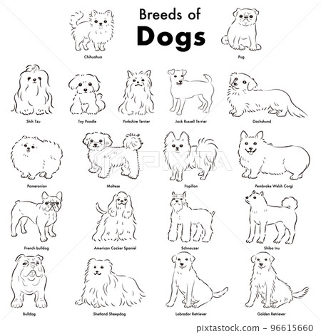 Simple and cute popular dog breed hand-drawn line drawing vector illustration set (black and white) 96615660
