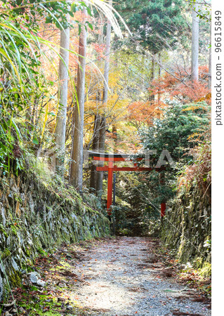 秋天的 Katte 神社進場 秋天的 Katte 神社進場 96615849