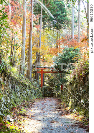 秋天的 Katte 神社進場 秋天的 Katte 神社進場 96615850