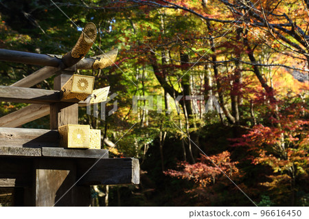 Autumn leaves of Sanzenin Autumn leaves of Sanzenin 96616450