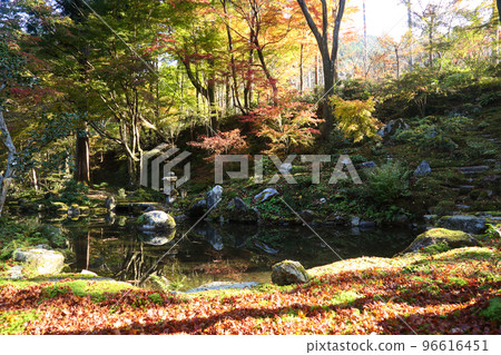 Autumn leaves of Sanzenin 96616451