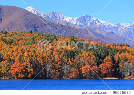 Lake Aoki in late autumn and Hakuba Miyama 96616683