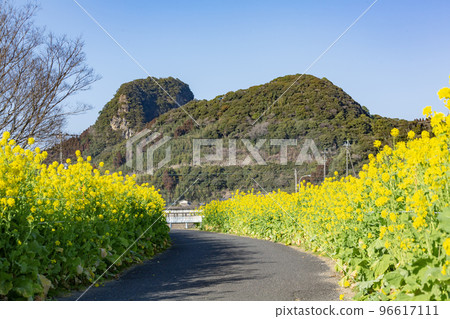 Nanohana和長廊引山Nanohana Road 96617111
