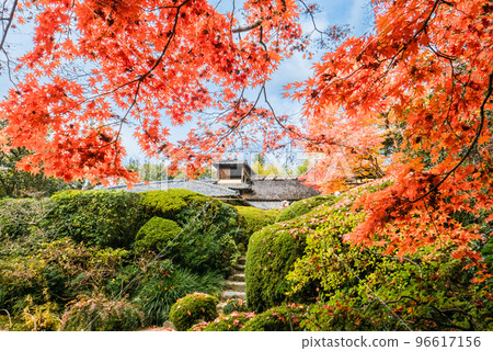 楓與花月郎 96617156