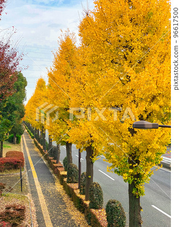 東京板橋高島平住宅區 東京板橋高島平住宅區 96617500