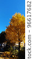 Ginkgo tree 96617682