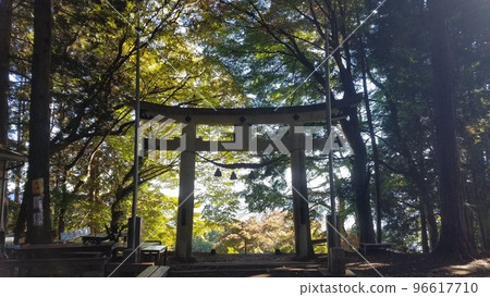 埼玉縣長瀞町寶登山奧宮鳥居 96617710