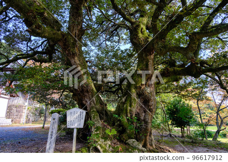 Saifukuji Temple, Tsuruga City, Fukui Prefecture 96617912