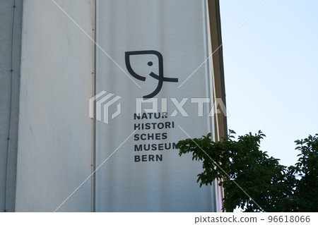 Exhibits at the Bern Natural History Museum 96618066