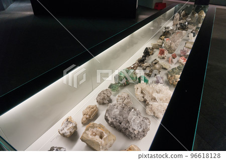 Exhibits at the Bern Natural History Museum 96618128