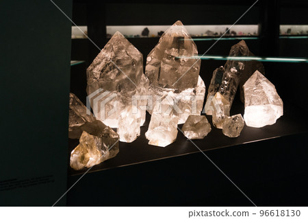 Exhibits at the Bern Natural History Museum 96618130