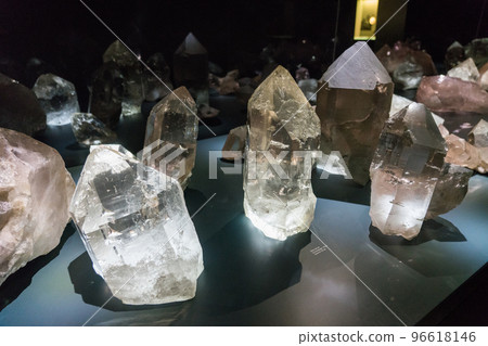 Exhibits at the Bern Natural History Museum 96618146