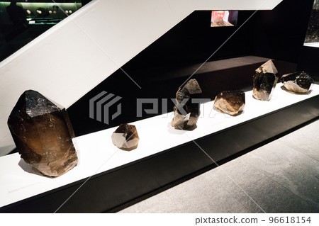 伯爾尼自然歷史博物館的展覽 96618154