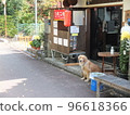 Everyday Takoyaki and Dogs 96618366