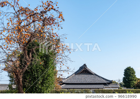 temple persimmon temple persimmon 96618990