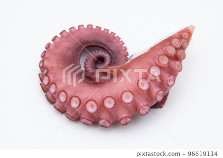 水煮章魚 水煮章魚 96619114