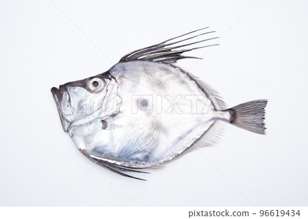 Kagamidai Kagamidai 96619434