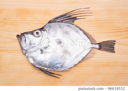 Kagamidai Kagamidai 96619552