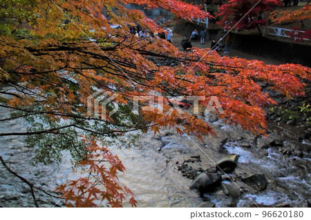 [Kuroishi City, Aomori Prefecture] Maple in Nakano 96620180