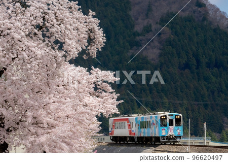 櫻花和三鐵 櫻花和三鐵 96620497