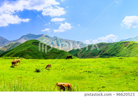Grazing scenery "Akaushi cow scenery in the grassland against the backdrop of magnificent nature" Sightseeing spot, travel, mountain climbing, recreational area 96620523