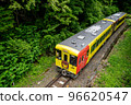 pokemon train 96620547