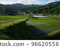 Rice terraces 96620558