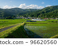 Rice terraces 96620560