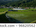 Rice terraces 96620562