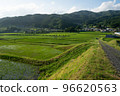 Rice terraces 96620563