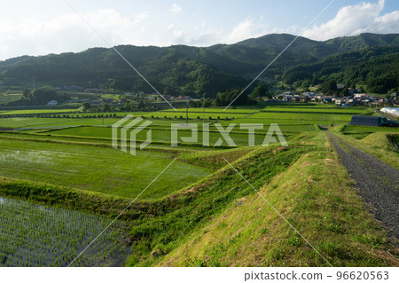 Rice terraces Rice terraces 96620563