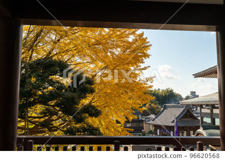 Autumn scenery seen from the temple Autumn scenery seen from the temple 96620568