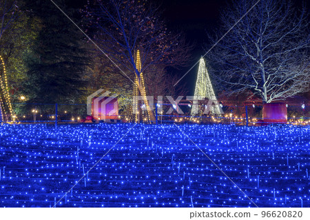 Illumination event on the plateau Kami-cho, Miyagi Prefecture Illumination event on the plateau Kami-cho, Miyagi Prefecture 96620820