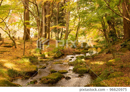 成田山公園紅葉節小川 成田山公園紅葉節小川 96620975
