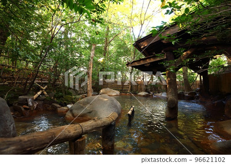 Noshiyu, a secluded hot spring in Japan 96621102