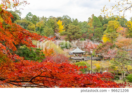 Naritasan Park Autumn Leaves Festival Ukimido 96621206