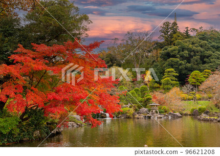 成田山公園紅葉節夜景 96621208