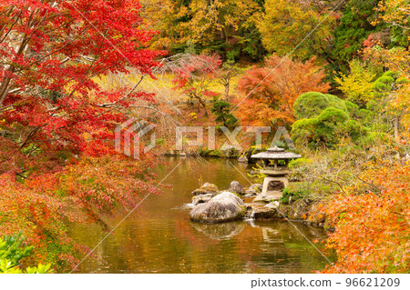 Naritasan Park Autumn Leaves Festival Naritasan Park Autumn Leaves Festival 96621209