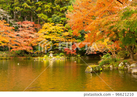 Naritasan Park Autumn Leaves Festival Naritasan Park Autumn Leaves Festival 96621210