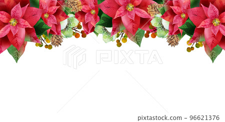 紅一品紅和聖誕玫瑰背景圖 紅一品紅和聖誕玫瑰背景圖 96621376