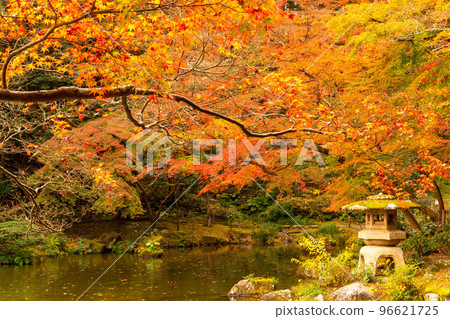Naritasan Park Autumn Leaves Festival 96621725