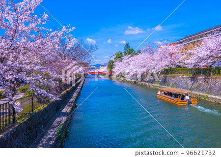 京都岡崎運河櫻花和十國船 96621732