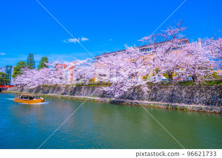 京都岡崎運河櫻花和十國船 96621733