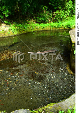 Geometric rock formation in Takachiho Gorge 96622307
