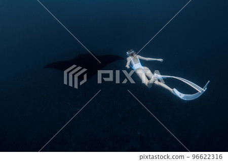 Woman freediver with long white fins swim with manta ray. Freediving with big manta ray 96622316