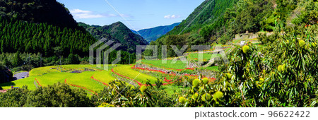 With the most beautiful autumn weather in the background Tourist attraction: Japan's Top 100 Terraced Rice Fields, Bansho Rice Terraces (Kyushu, Yamaga City, Kumamoto Prefecture, Japan) 96622422