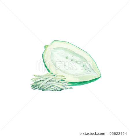 用水彩畫的青木瓜 96622534