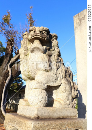 藍天下常滑市小倉神社的小馬犬 96622935