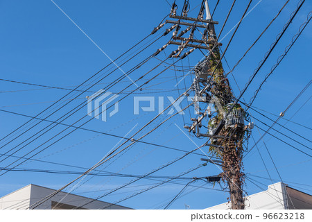 用常春藤蓋的電桿 96623218